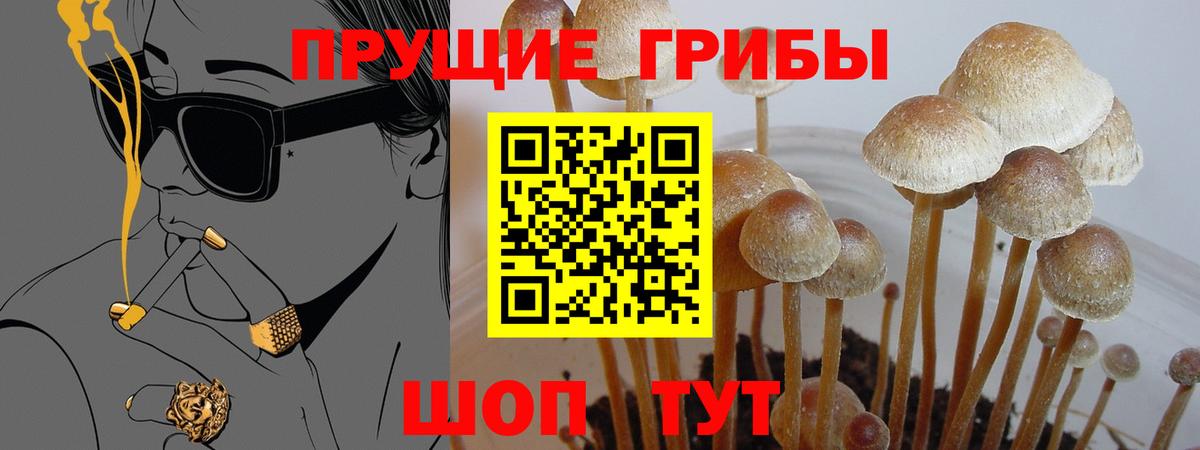 Псилоцибиновые грибы Magic Shrooms Бор