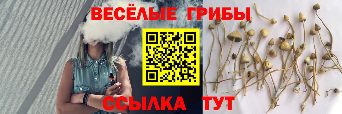Бор  магазин    Вход с VPN  Галлюциногенные грибы ЛСД 